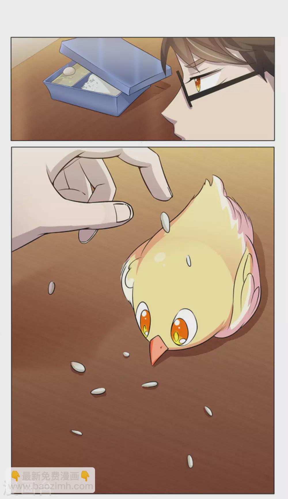 16.jpg