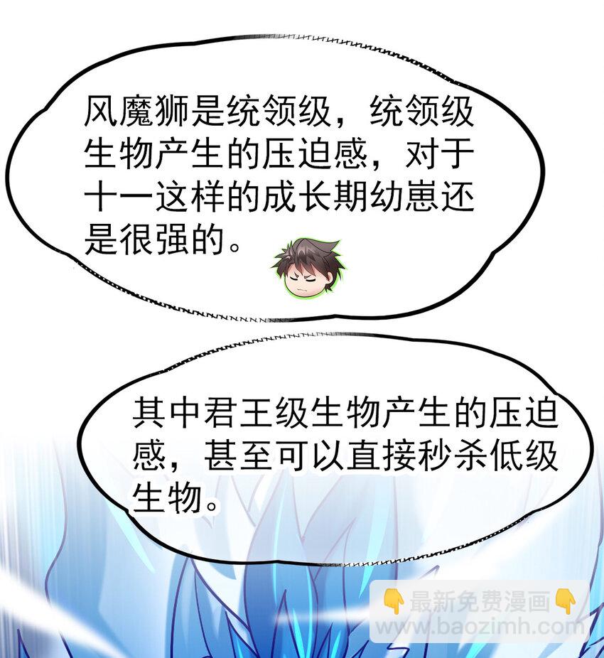 41.jpg