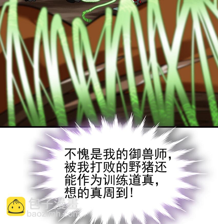 41.jpg