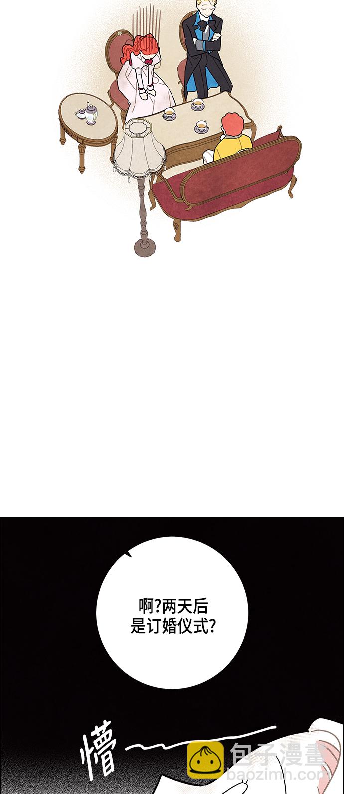 35.jpg