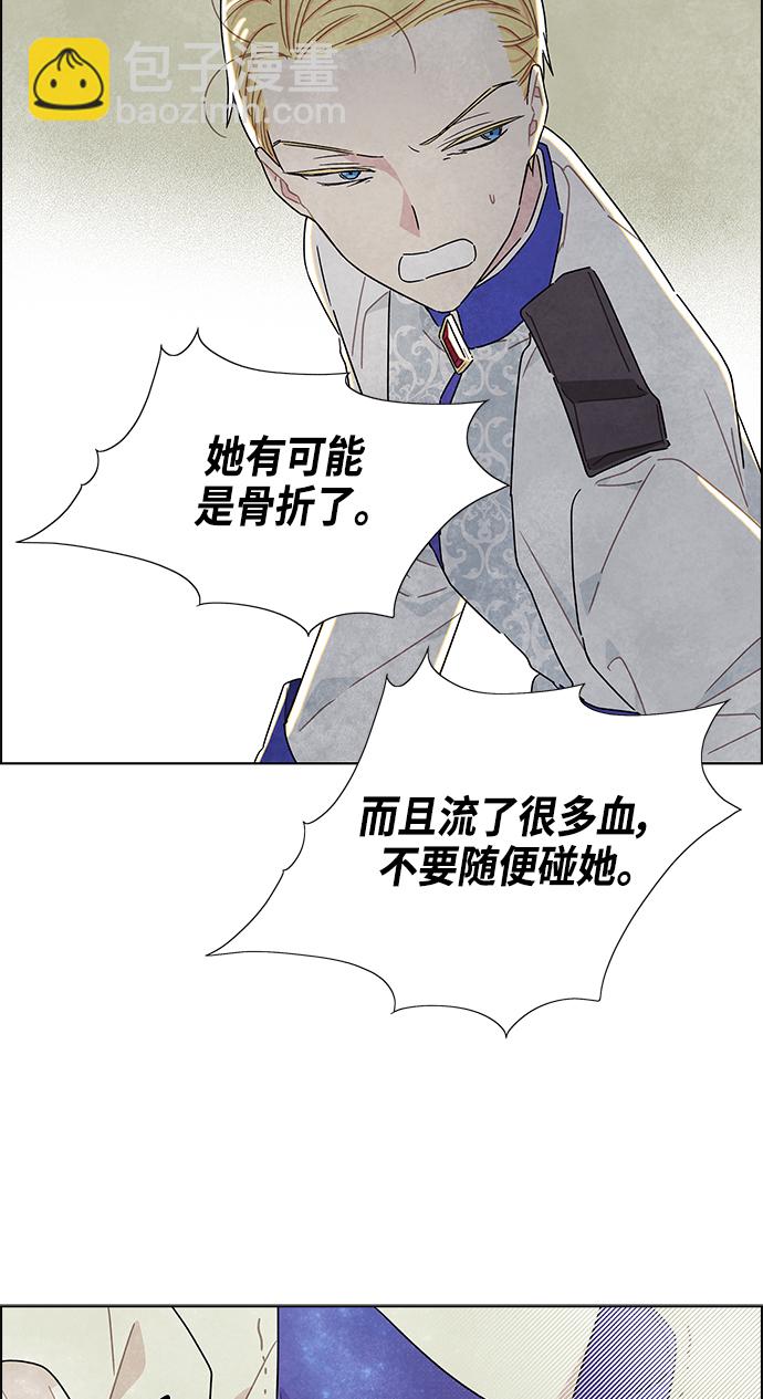 48.jpg