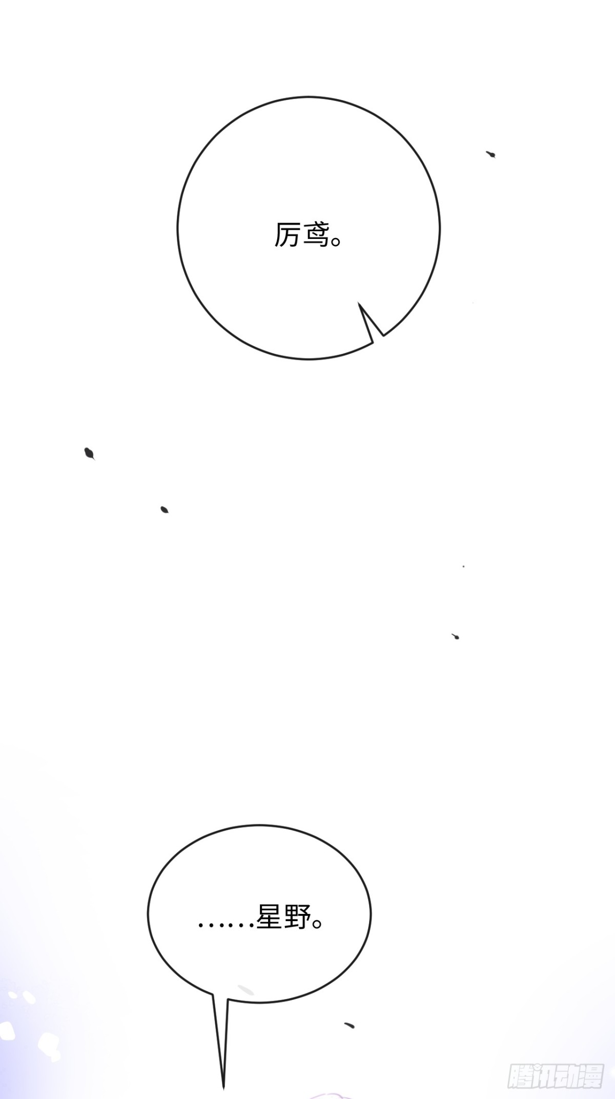 38.jpg
