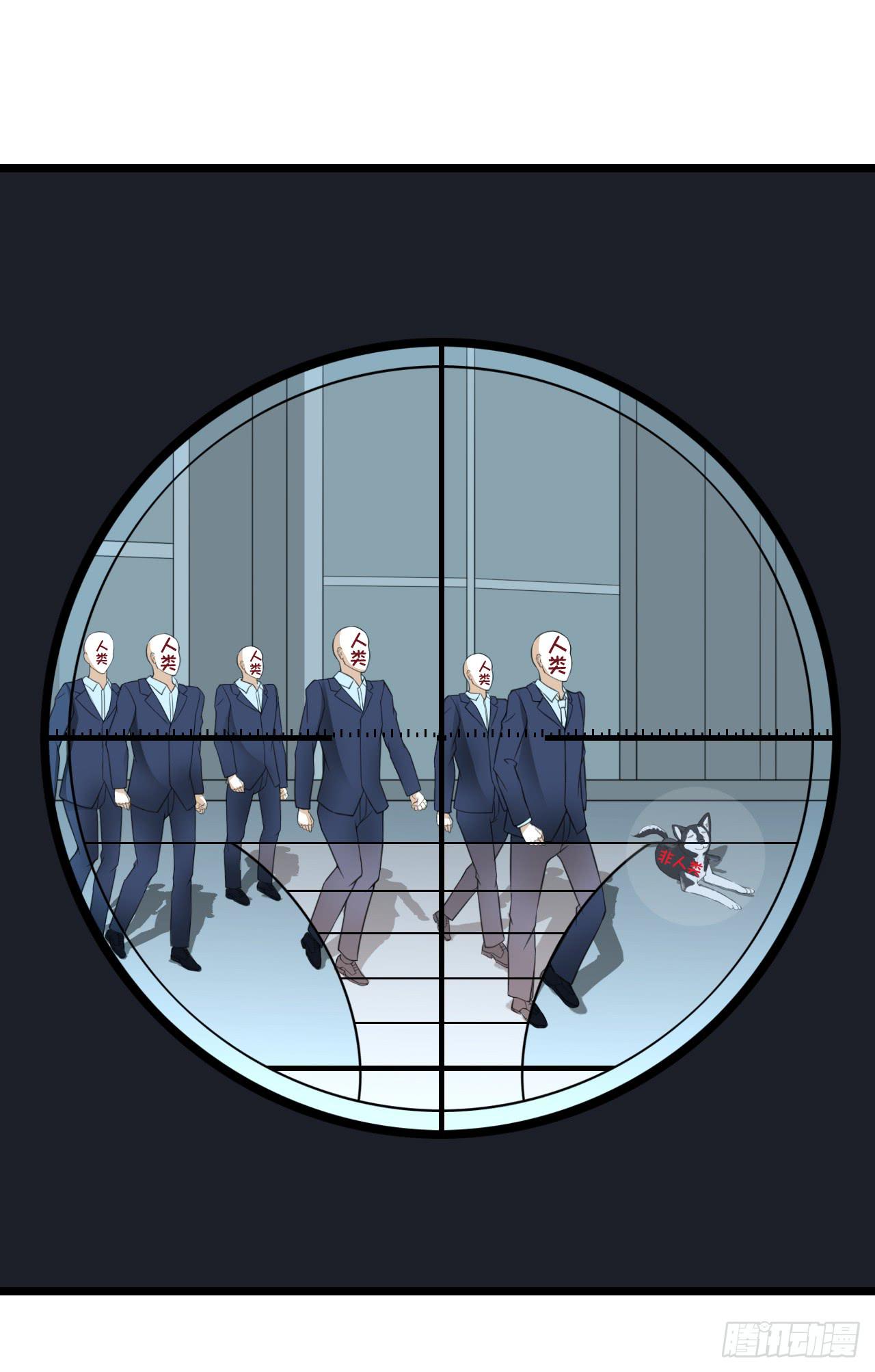 37.jpg