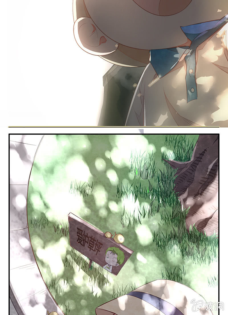 16.jpg