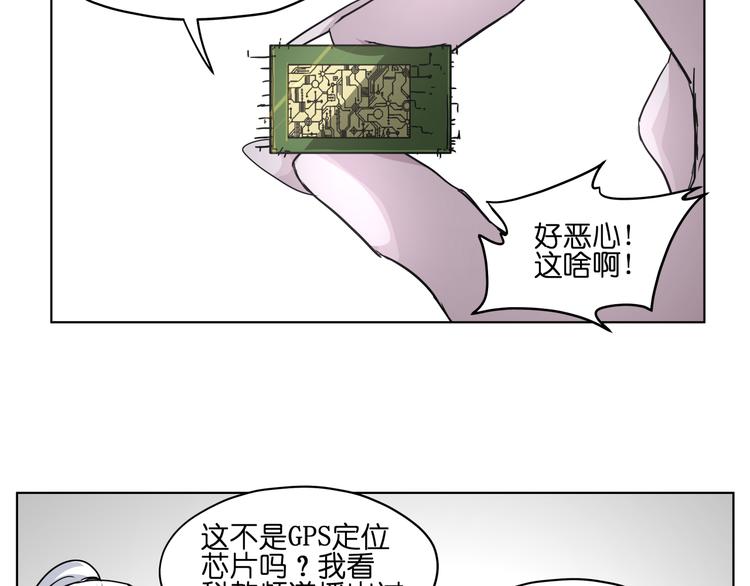 49.jpg