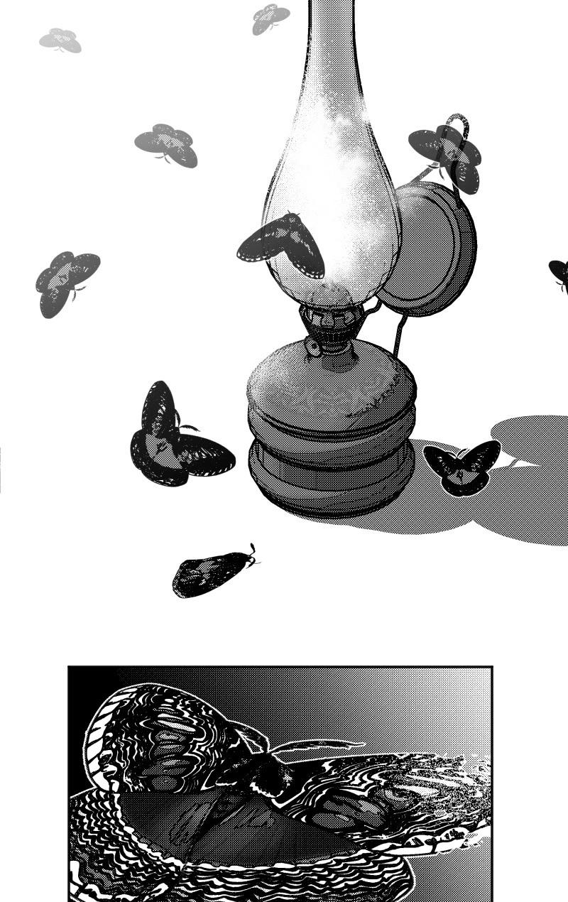 48.jpg
