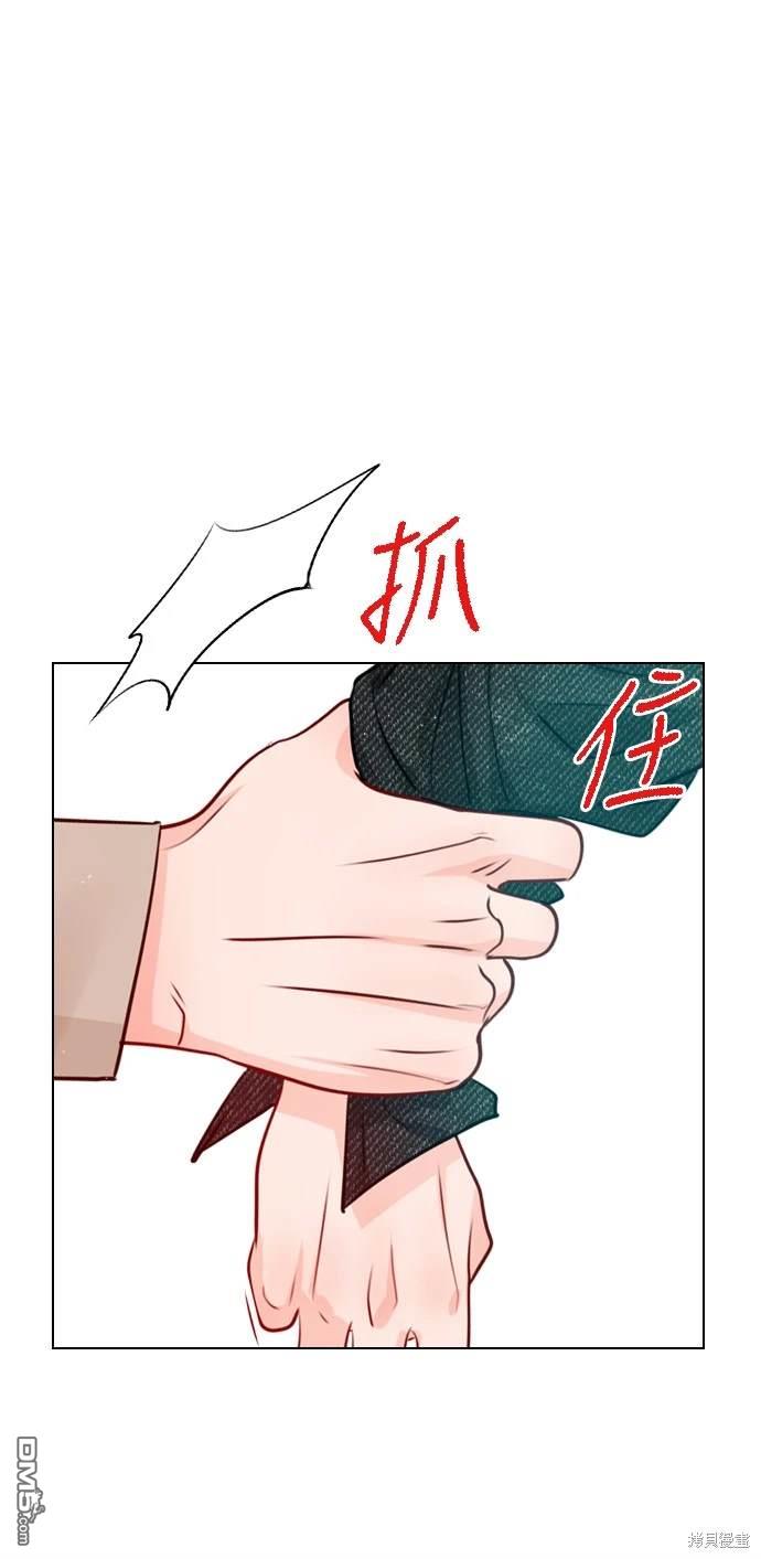 47.jpg