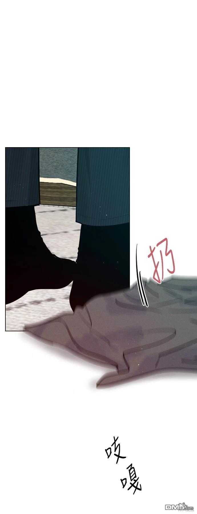 48.jpg