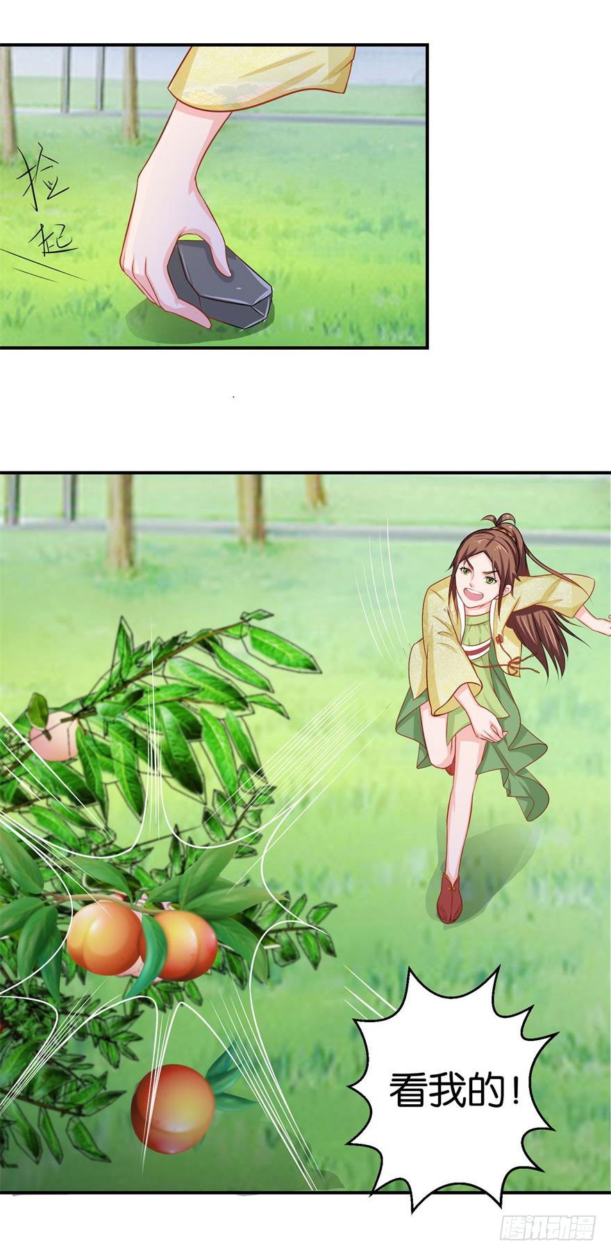 11.jpg