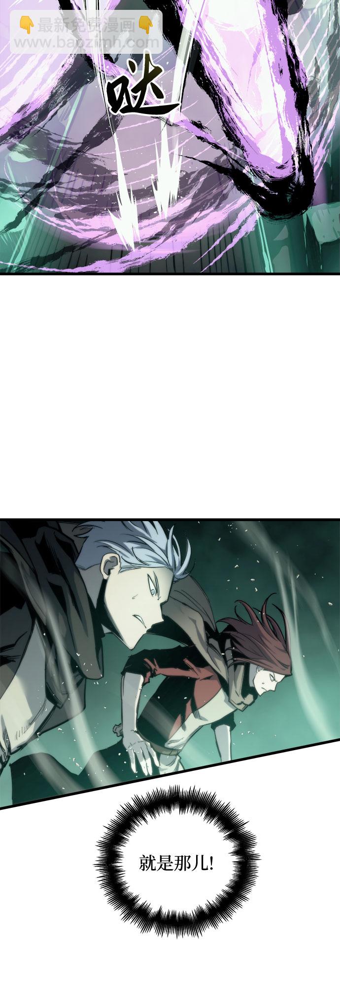 41.jpg