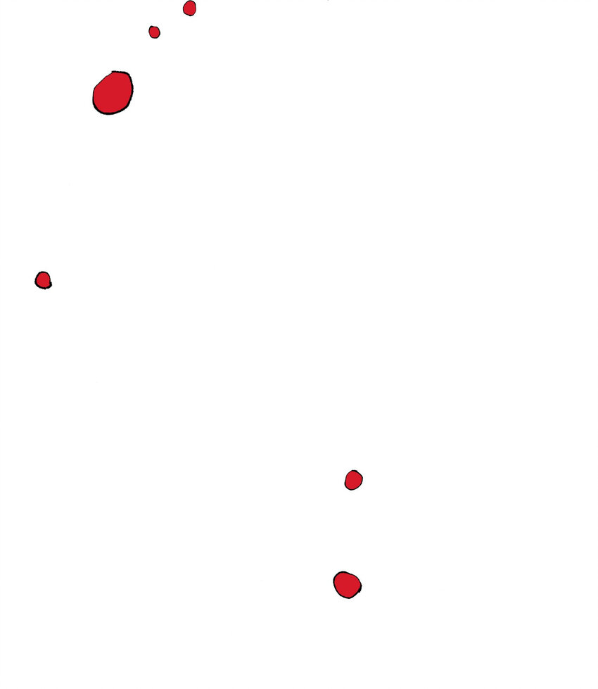 46.jpg