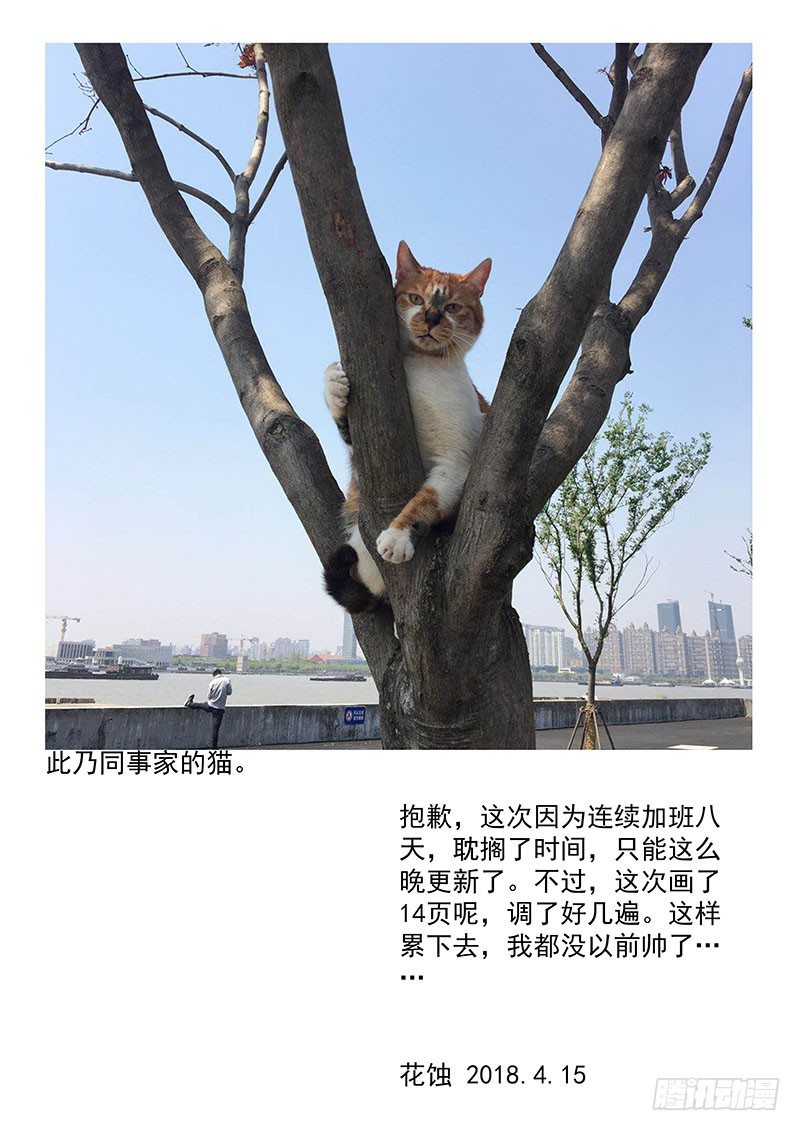 15.jpg