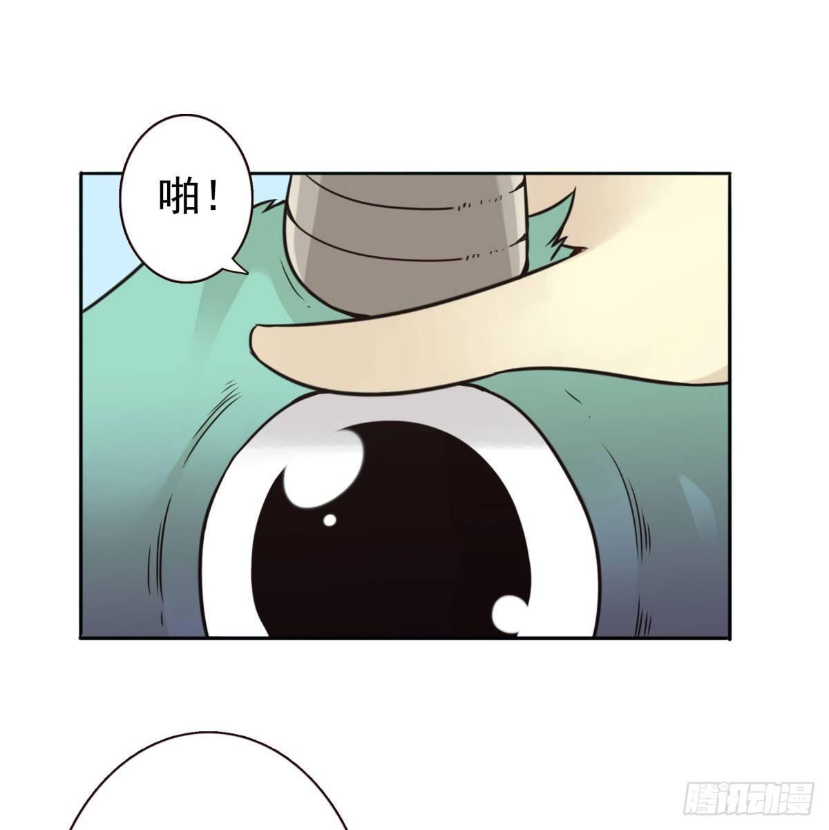 27.jpg