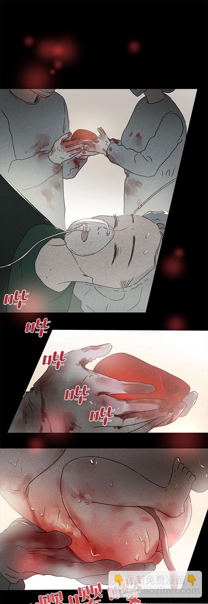 26.jpg