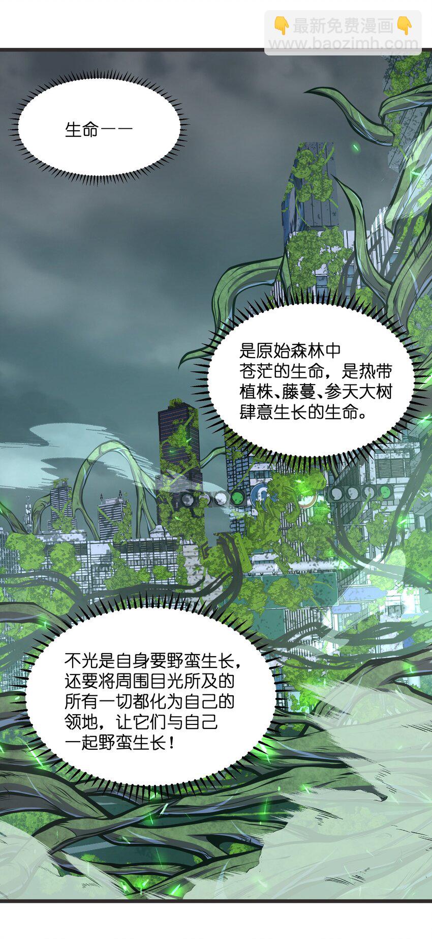 33.jpg