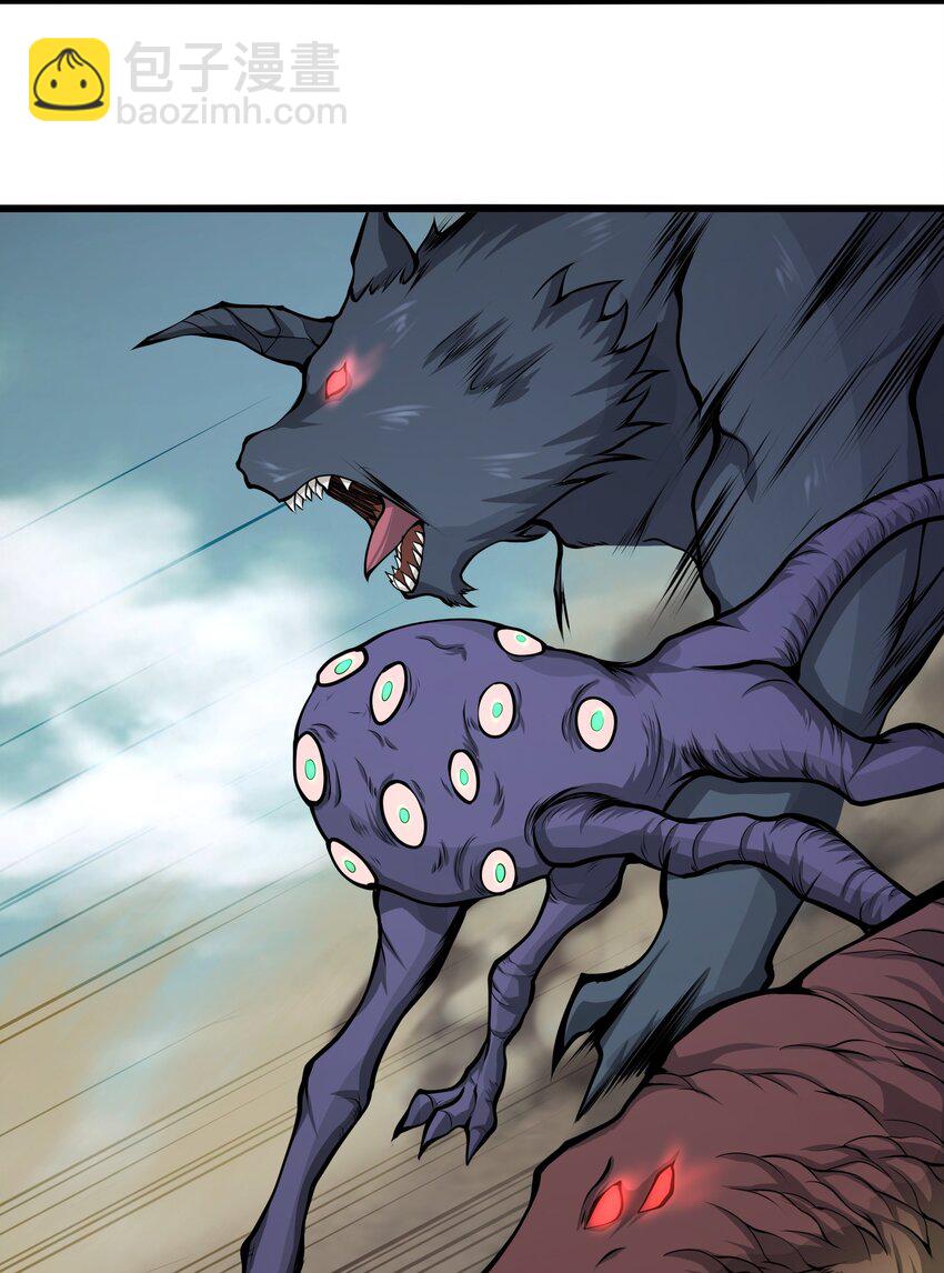 31.jpg