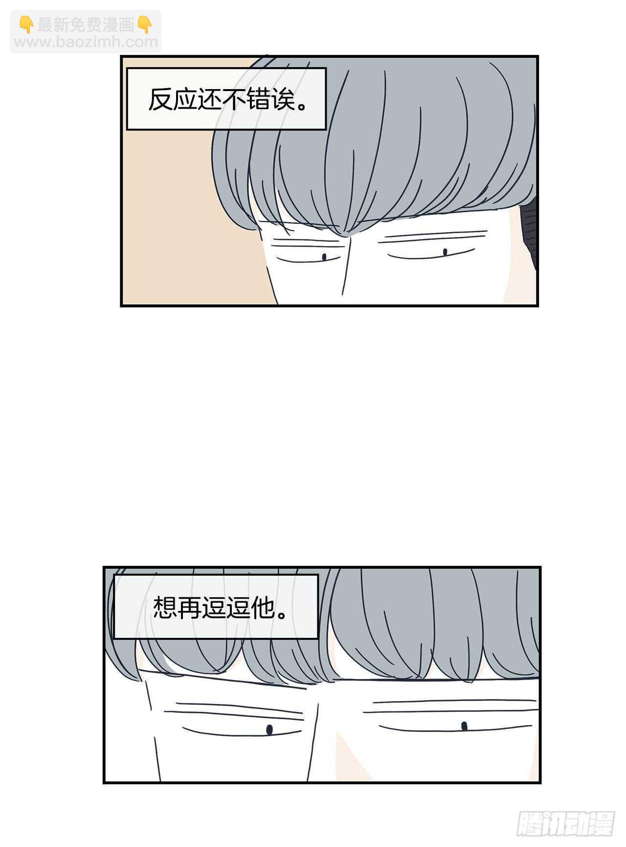 26.jpg