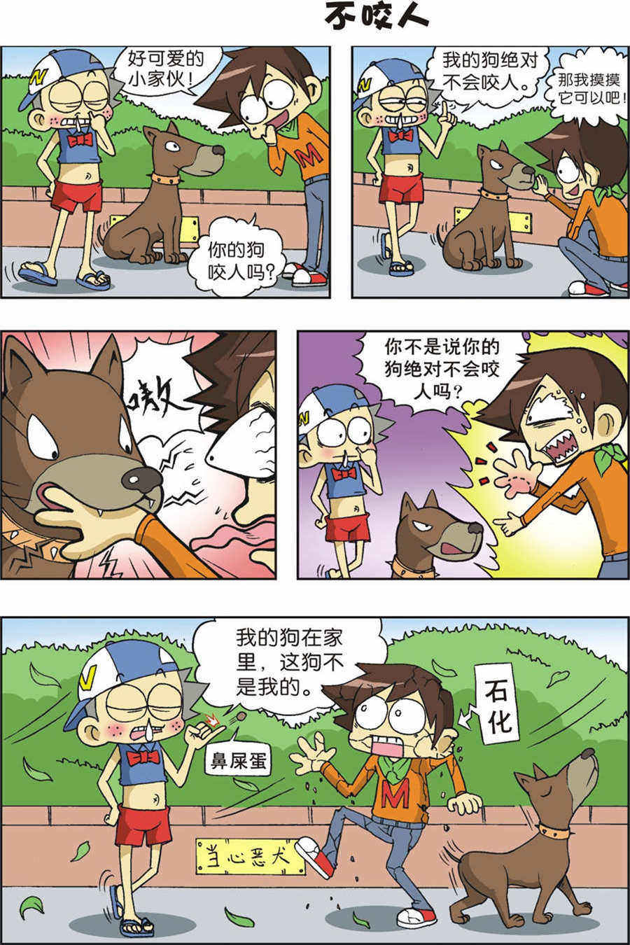 8.jpg