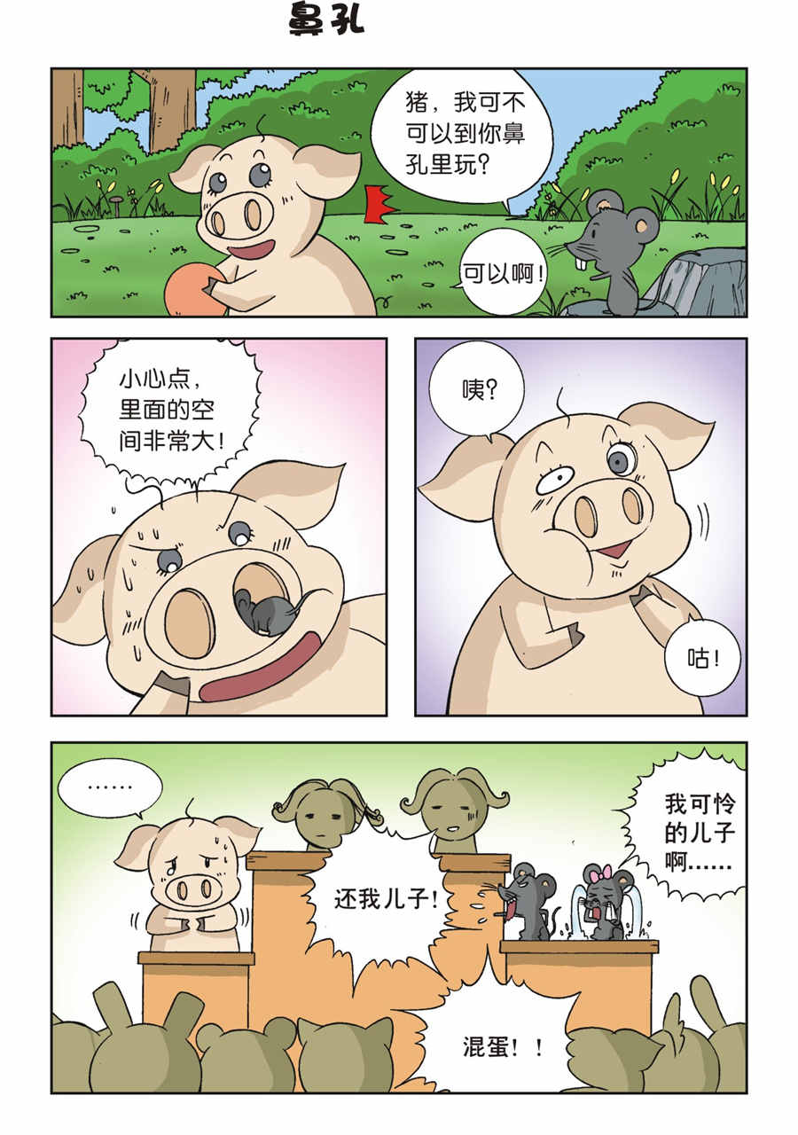 4.jpg