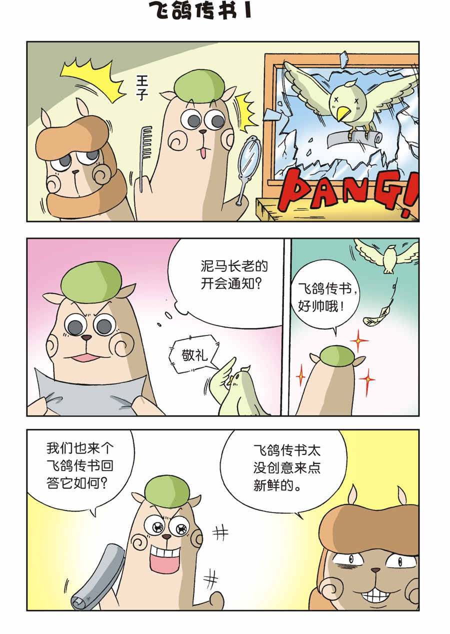 6.jpg