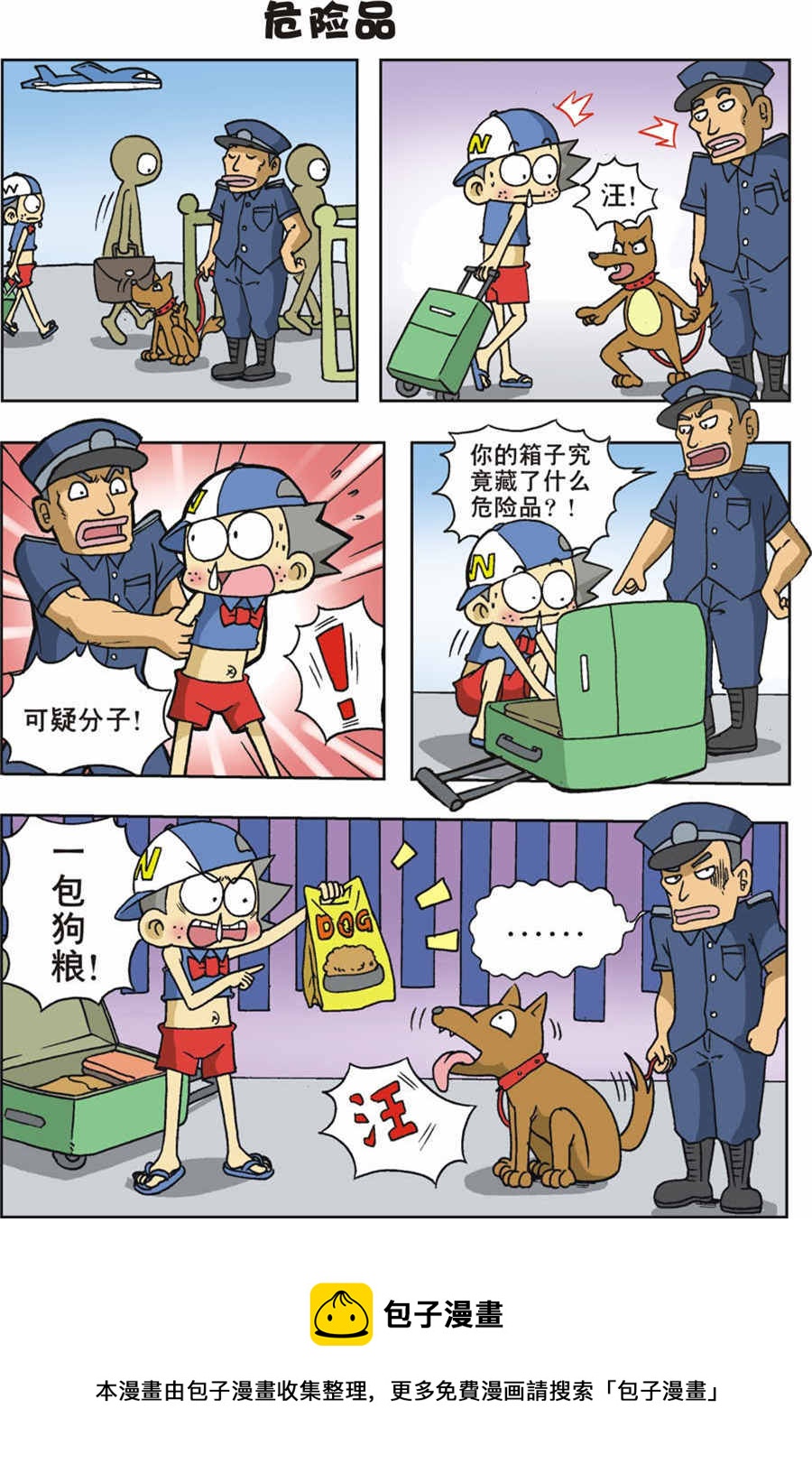 5.jpg