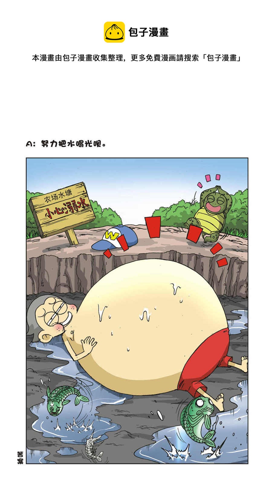 5.jpg