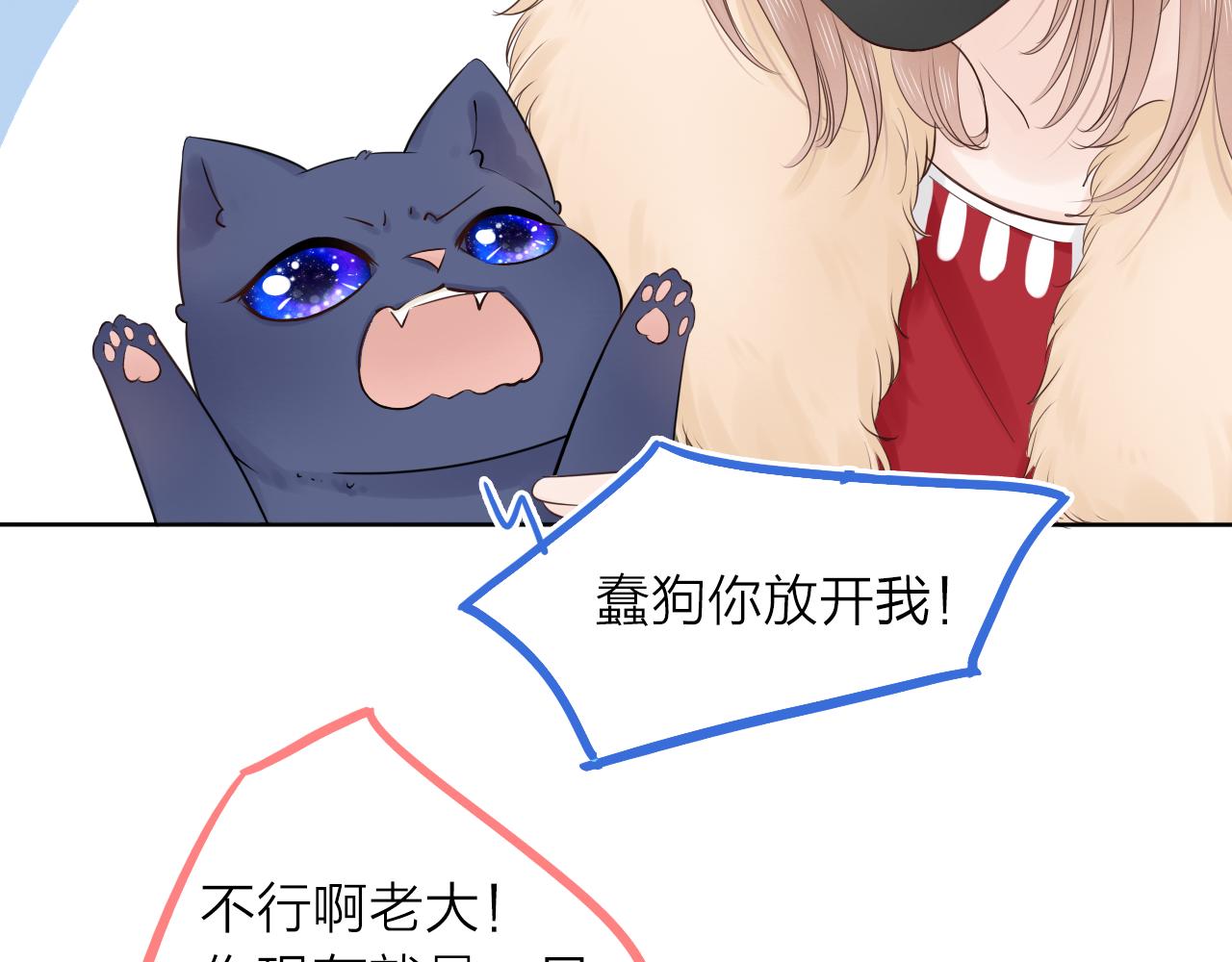 48.jpg