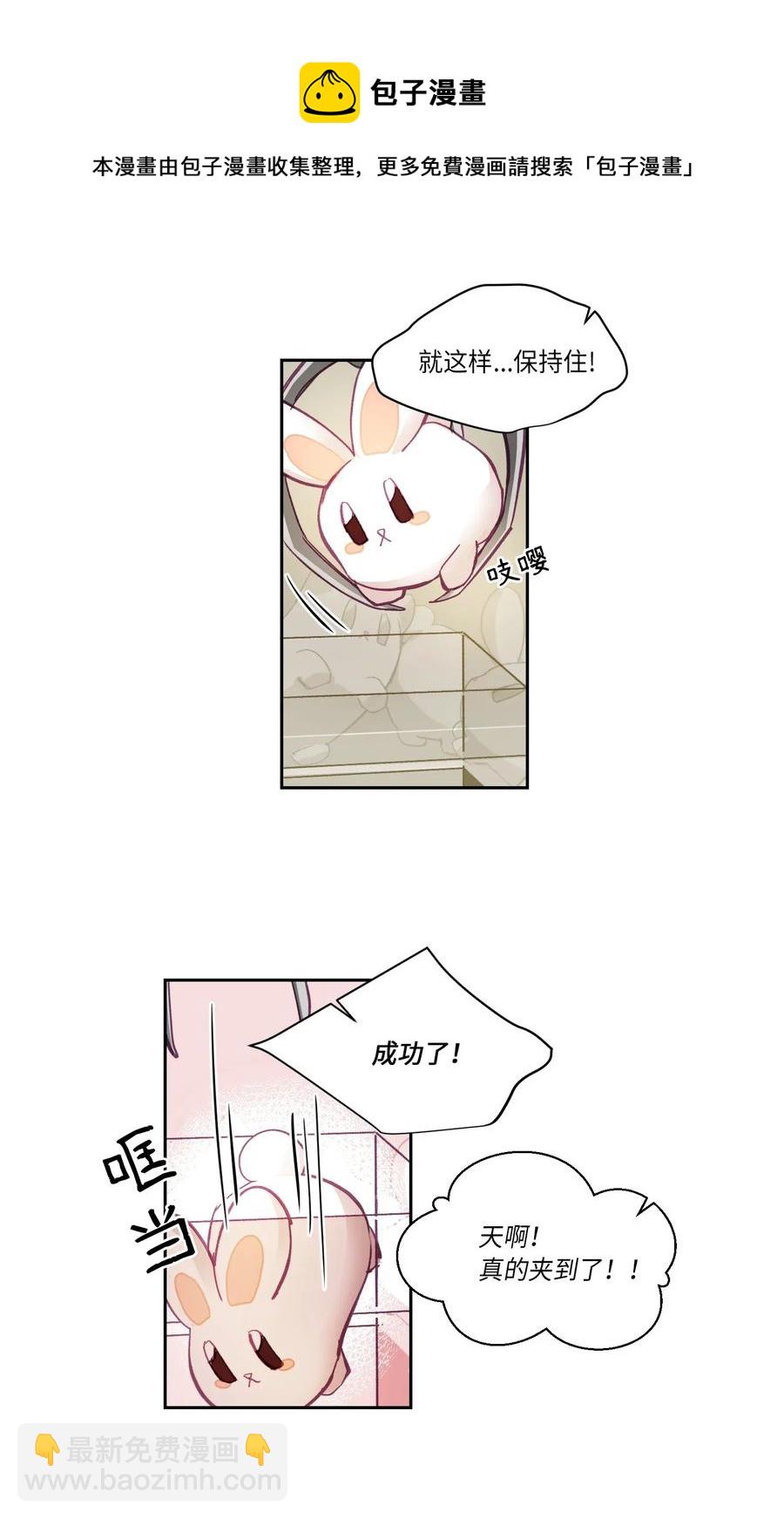 35.jpg