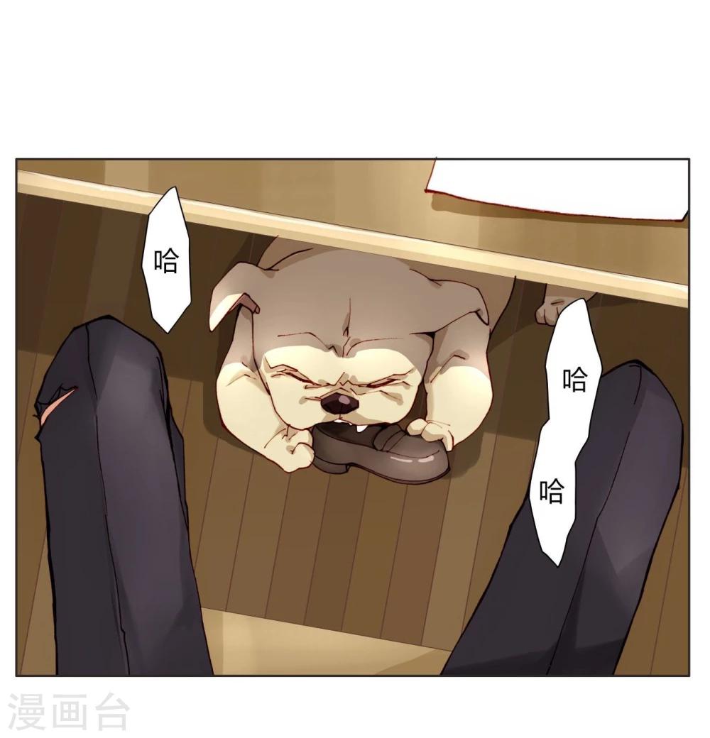 23.jpg