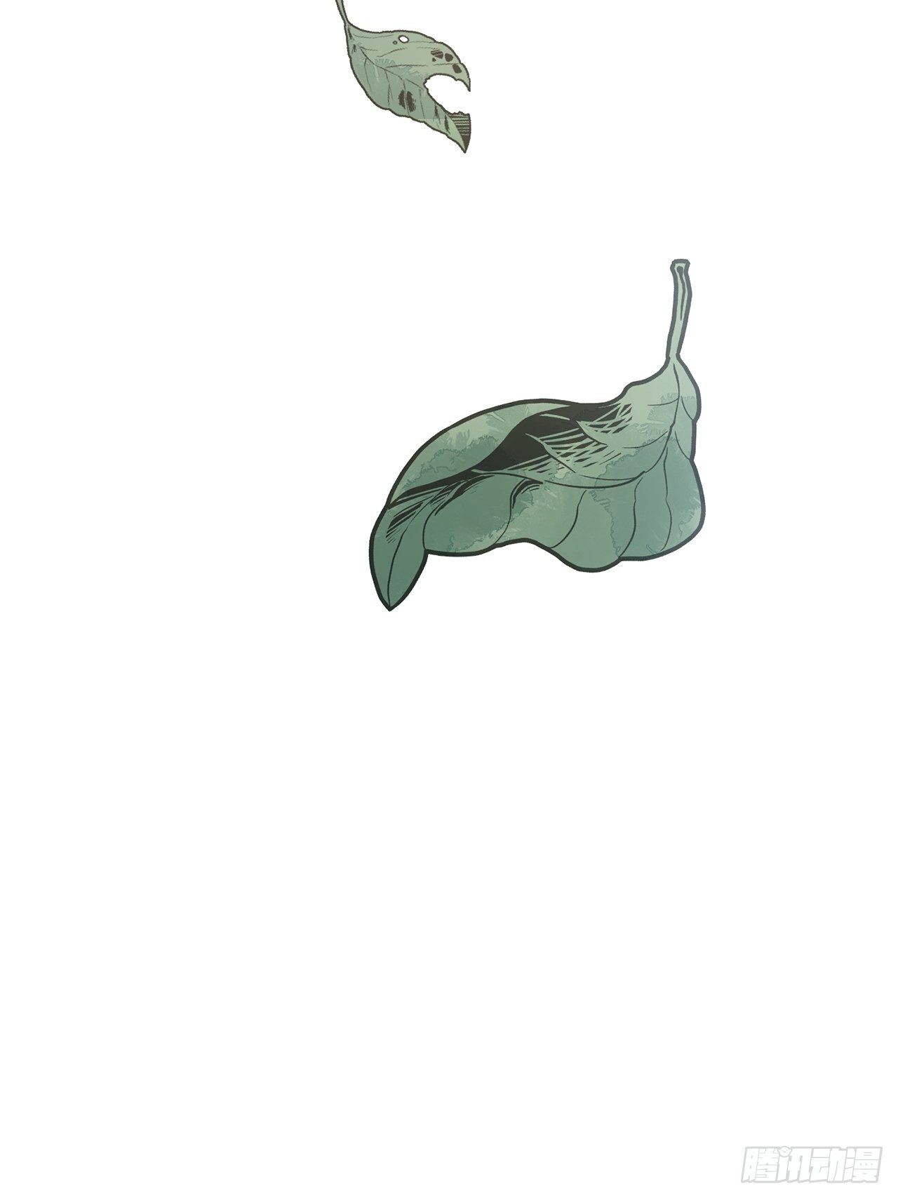 34.jpg