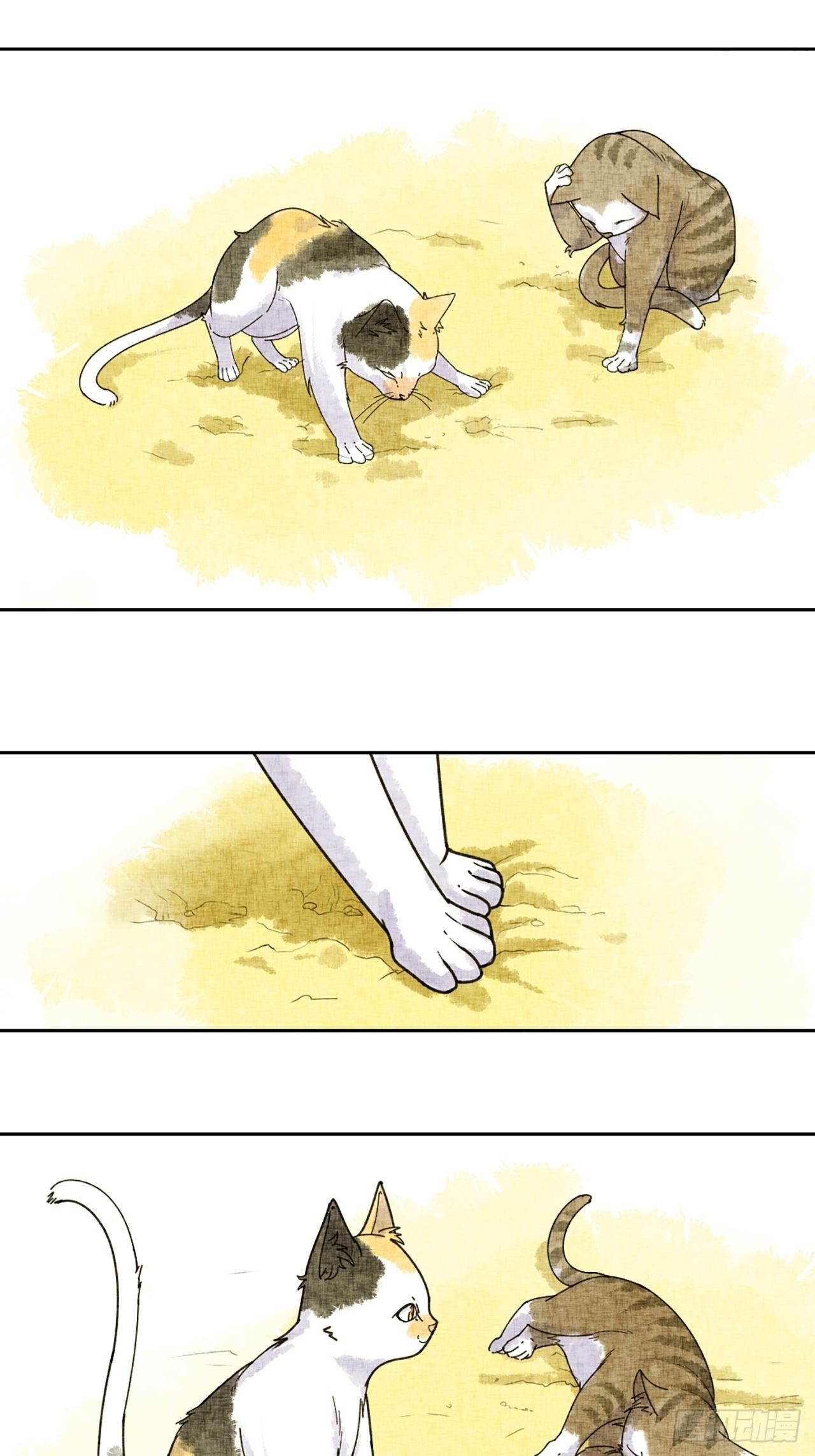 76.jpg