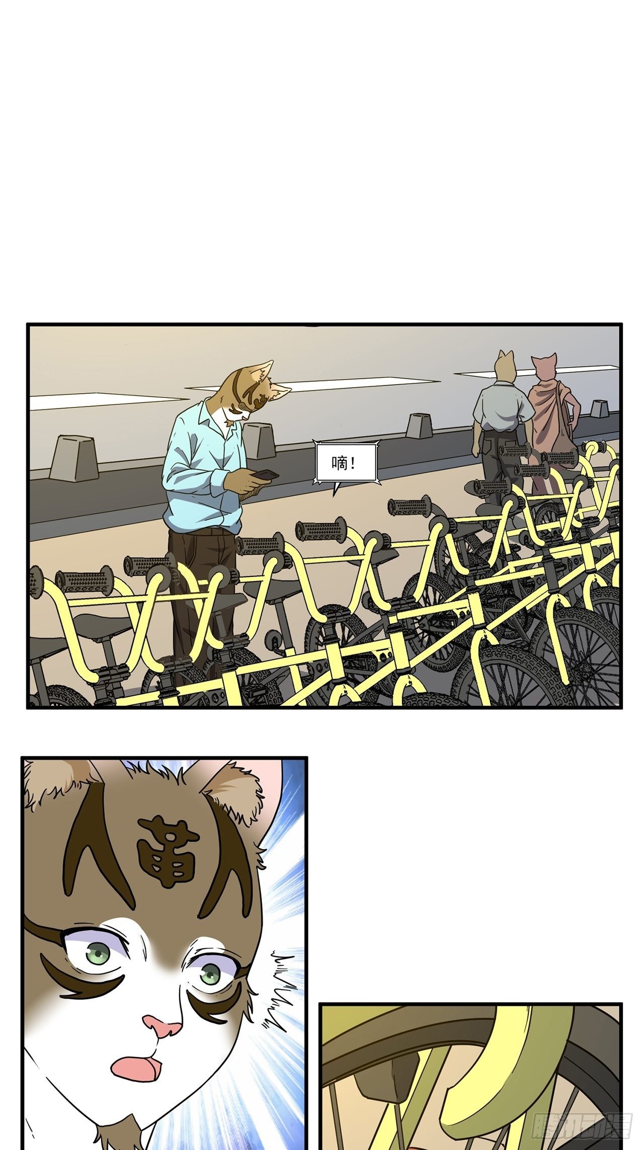 16.jpg
