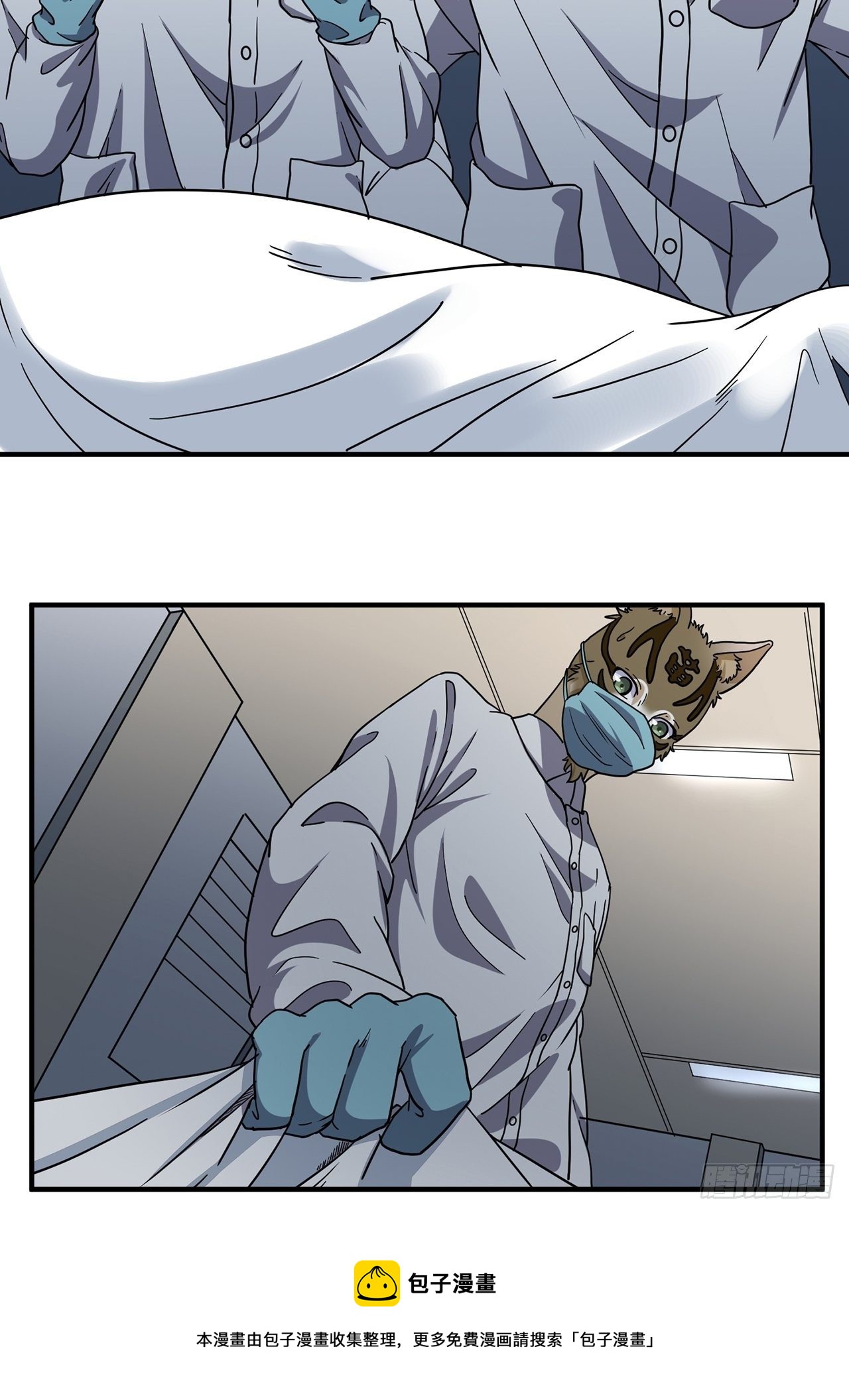 47.jpg