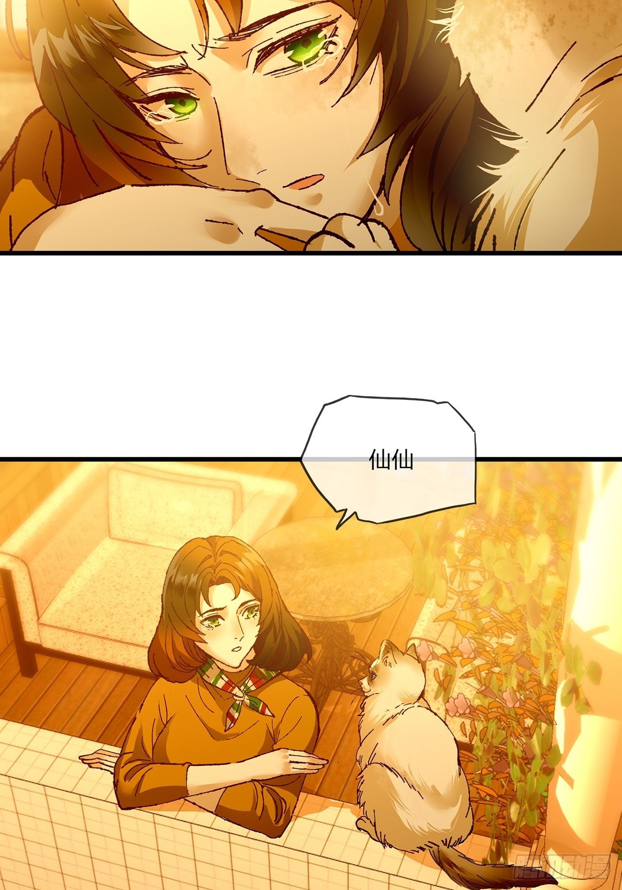 35.jpg