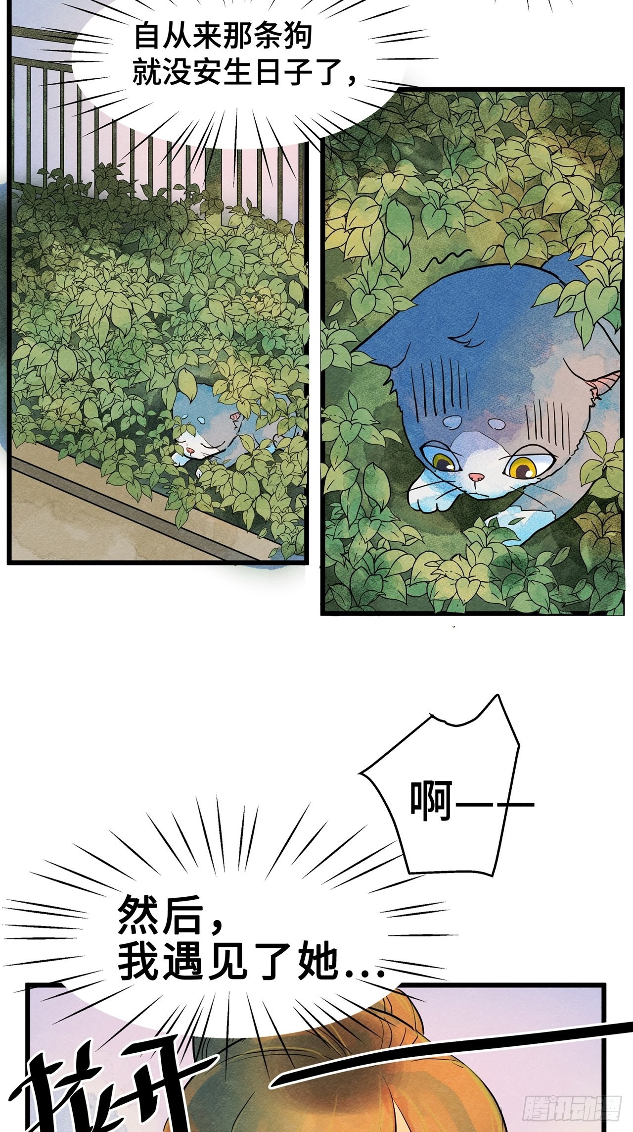23.jpg