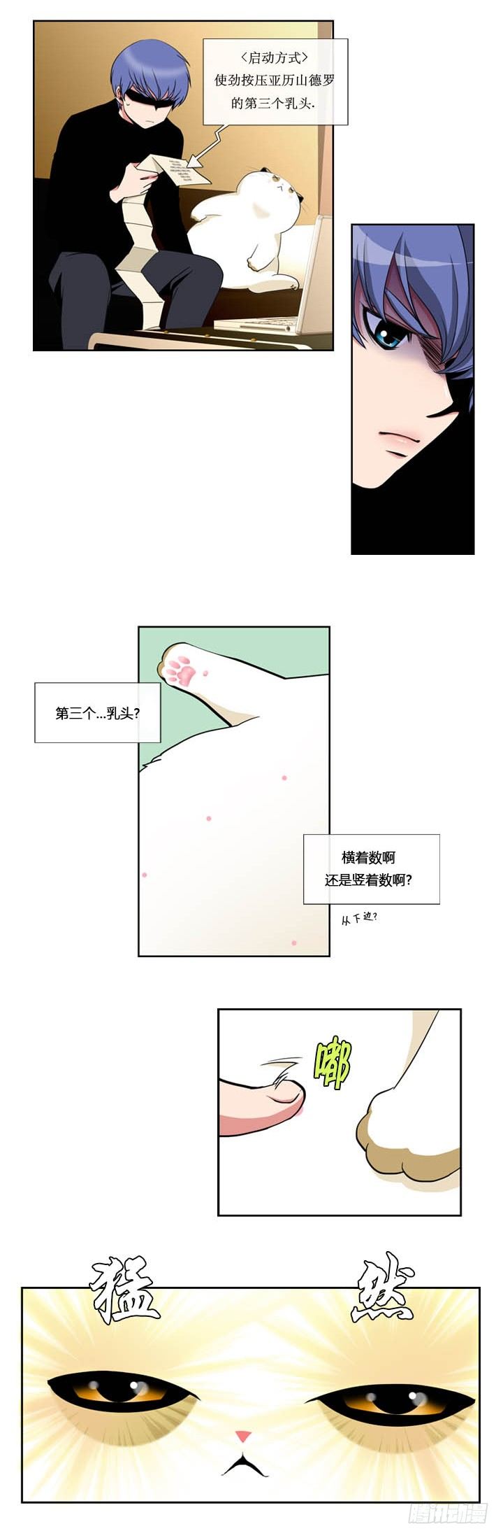 8.jpg