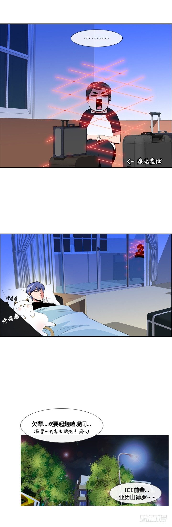 5.jpg