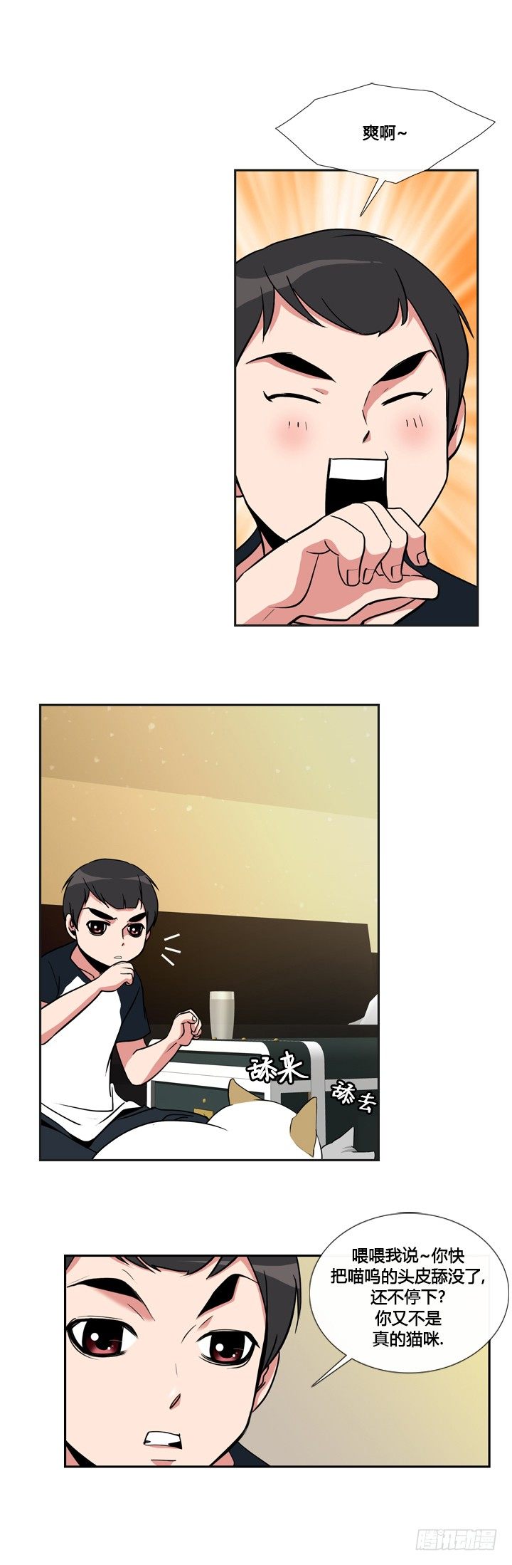 5.jpg