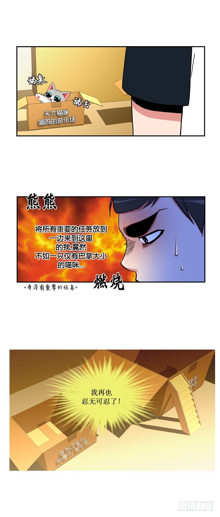 6.jpg