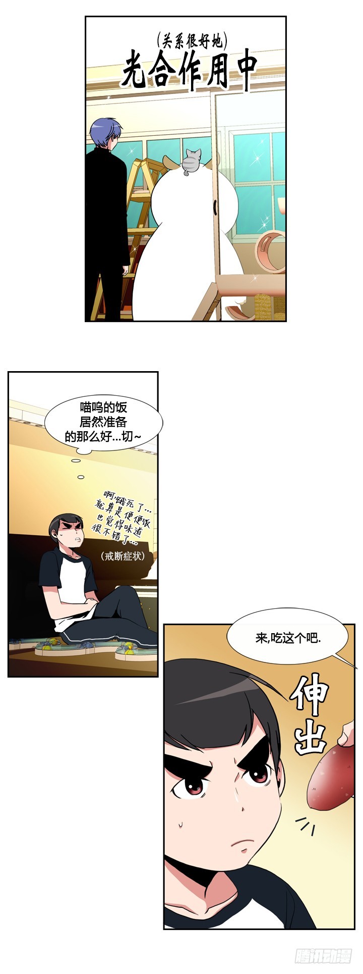 5.jpg