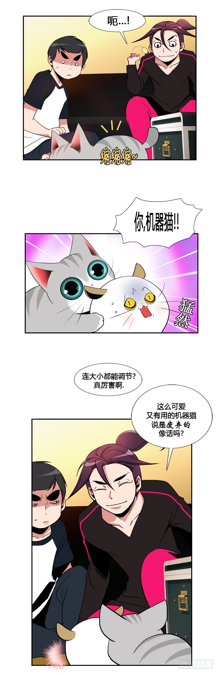 9.jpg