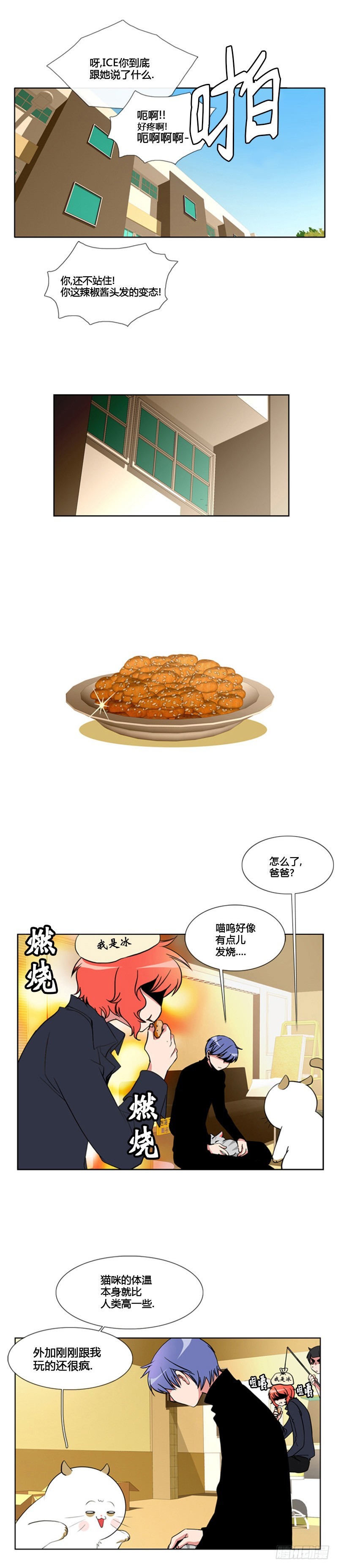 13.jpg
