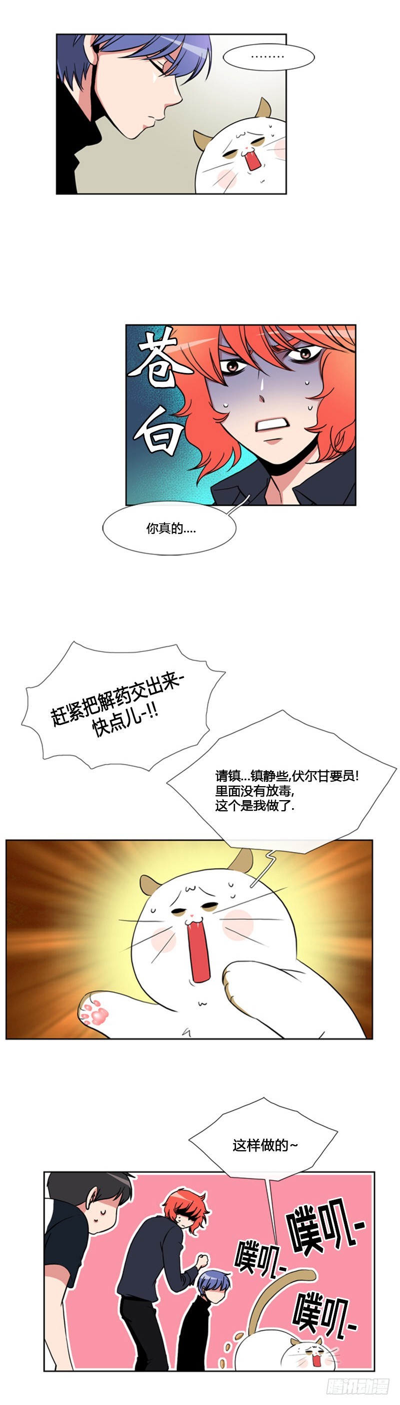 15.jpg