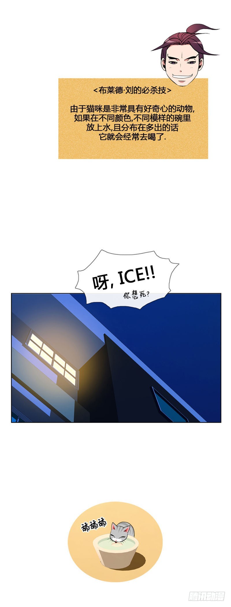 20.jpg