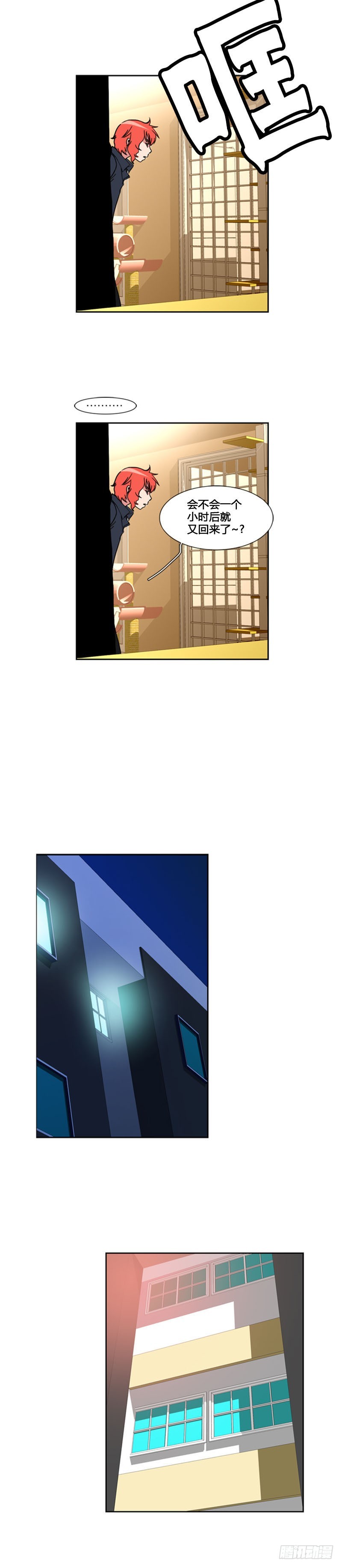 11.jpg