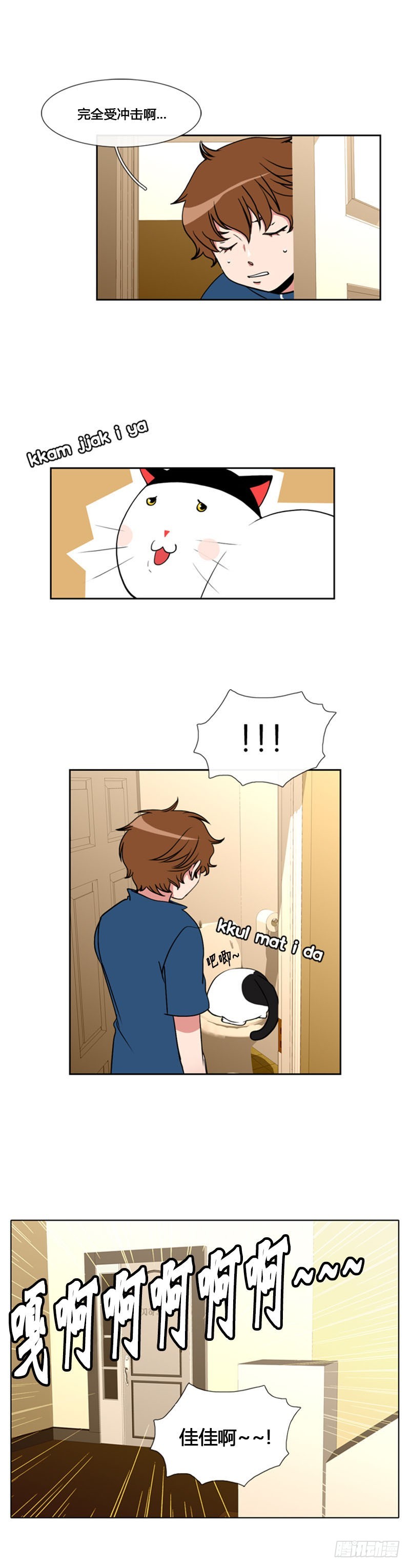 13.jpg