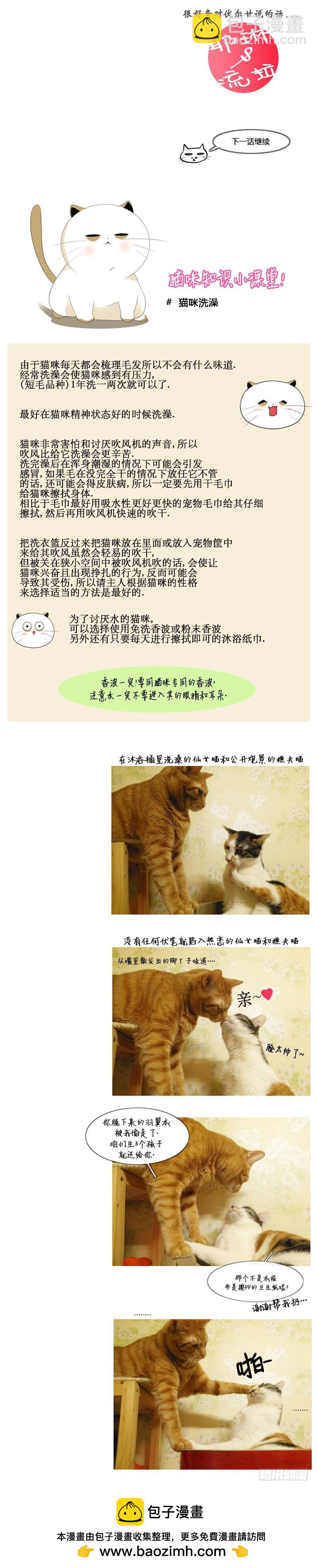 15.jpg