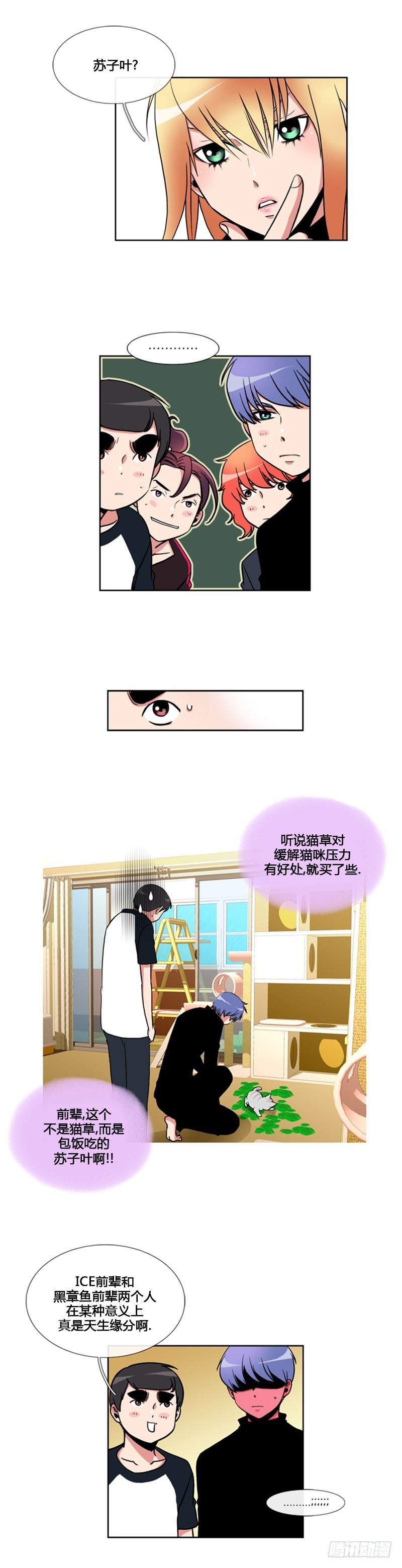5.jpg