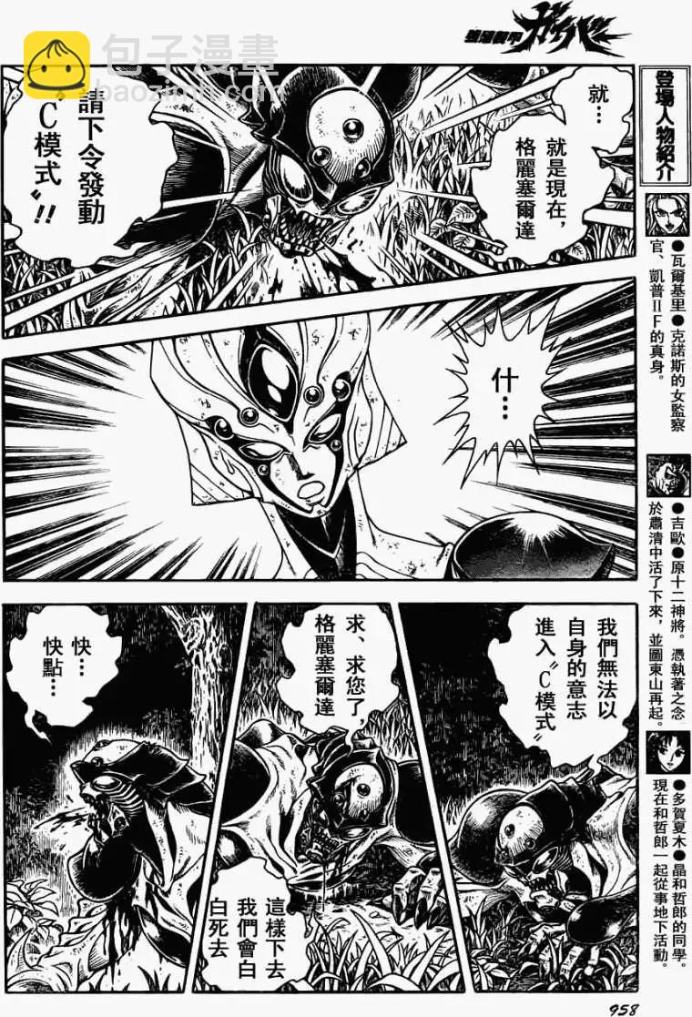 13.jpg