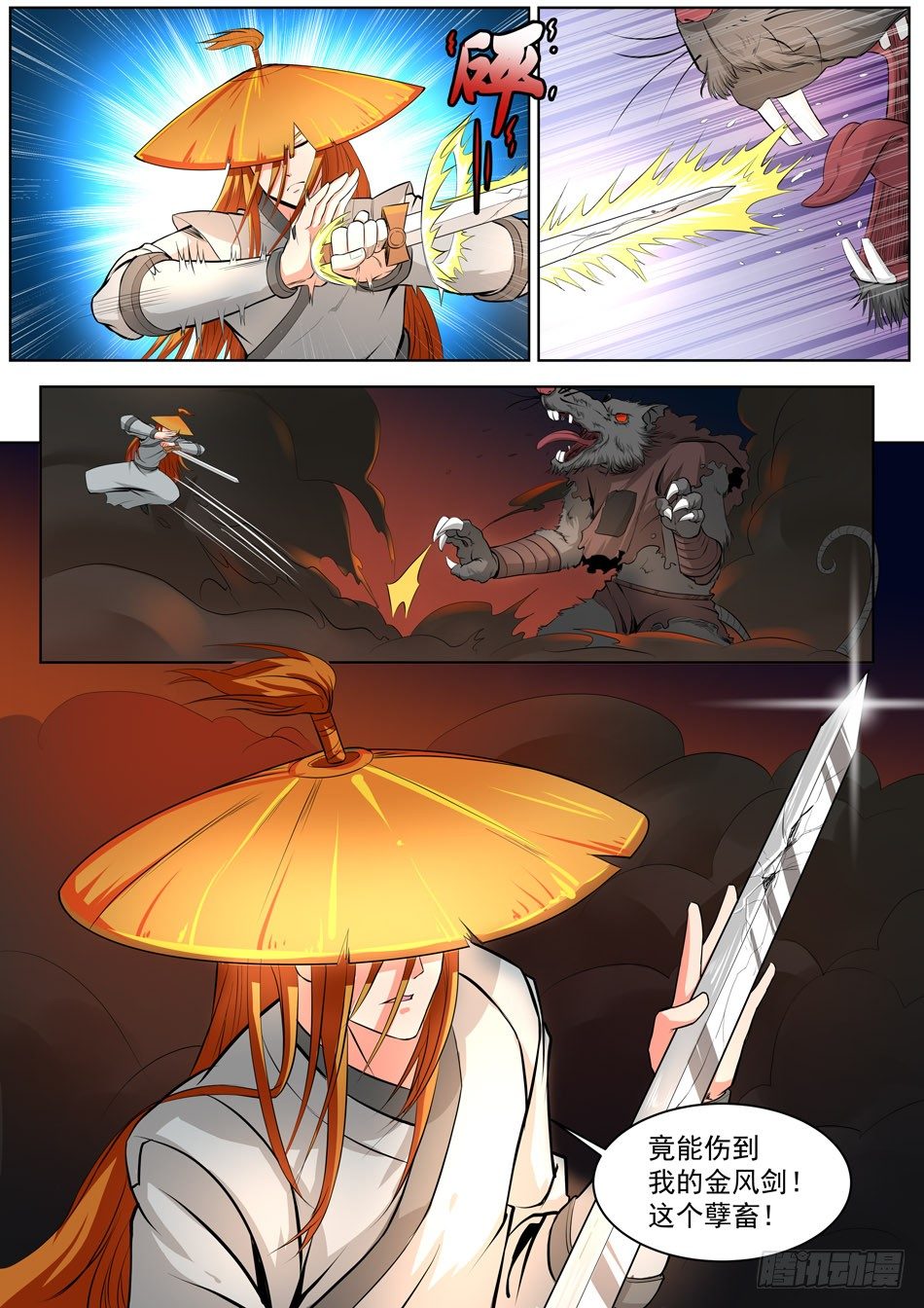 5.jpg